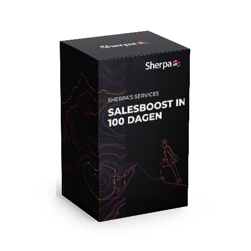 Salesboost in 100 dagen doos